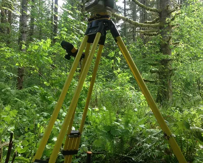 Click to enlarge image northern_surveying_washington.jpg